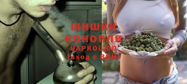 стаф Арсеньев