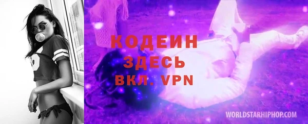 стаф Арсеньев
