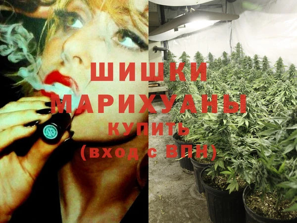 стаф Арсеньев