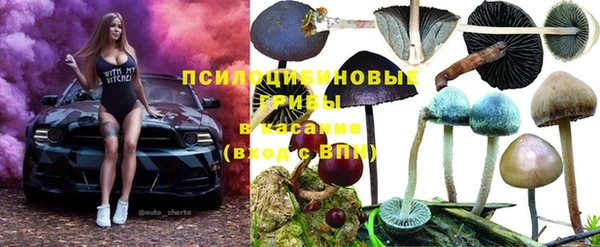 jwh Аркадак