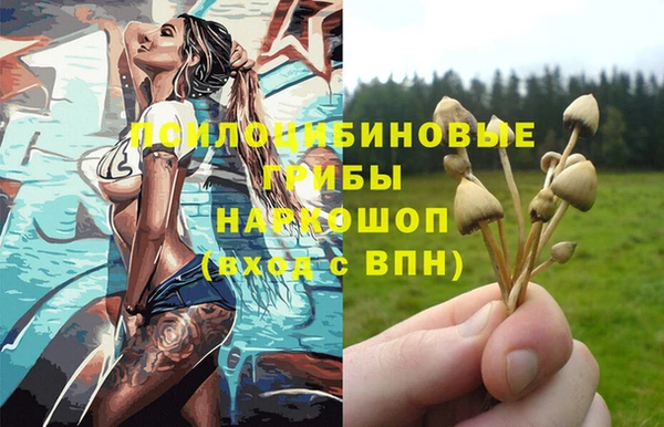 стаф Арсеньев