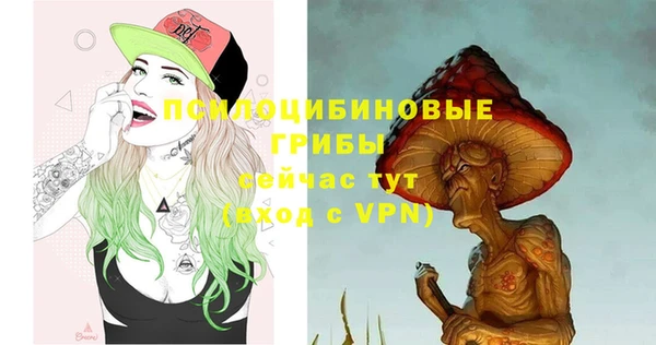 стаф Арсеньев