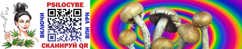 mega как зайти  Медвежьегорск  Галлюциногенные грибы Magic Shrooms 